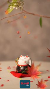 แมวญี่ปุ่น แมวนำโชค LM03-5