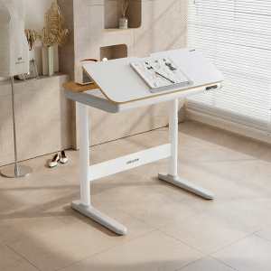 Loctek | Dual Motor Smart Electric Adjustable Desk