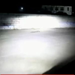 2Pcs Mini Projie H4 Mobil Led Mobil Motor Y6D Y13 H4 130W Super Terang Lampu Led Utama Kabut Headlamp Headlight Mobil Pencahayaan Putih Hi Low Beam Projector Mobil Lampu Projie Depan Mobil