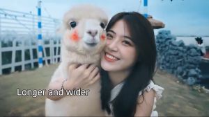 R1S Selfie Stick Tripod Monopod 3in1 Multifunctional Mini Tripod with LED Light Wireless Remote Mini Phone (N48)