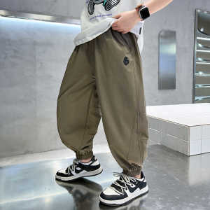 Boys Mosquito-Resistant Summer Thin Breathable Quick-Drying Pants Large Childrens Casual Long Trousers Non-Fleece Polyester