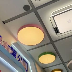 23cm Macaron Ceiling Light - Energy-Saving White LED Dustproof Lighting for Home Including light bulbs