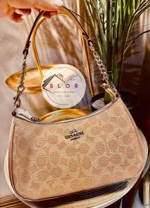 Authentic Coach Teri Small Chain Two Way Bag