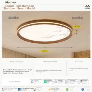 FANCY LAMP CLUB | Song Dynasty Aesthetic Vintage Style Eye-Protecting Full Spectrum Silk Living Room Ceiling Light