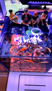 Bloodworm Pellets Fish Food 55g/170g | Premium Grade A Quality | Makanan Pelet Cacing Kering | 仿红虫干鱼饲料 (READY STOCK)