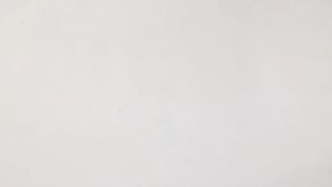 10PCS Large Mouse rat Sticky Mice Rodent Glue Board Bait Trap