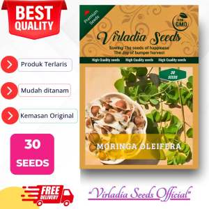[Virladia Seeds] Biji Benih tanaman Pohon Kelor