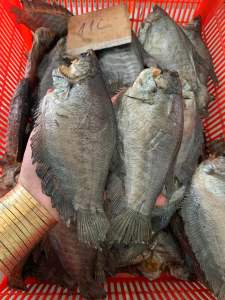 KHÔ CÁ SẶC BỔI Sặc Lò Tho Sặc Rằn (con lớn 8-10/1kg Hàng Xuất Khẩu Ship Toàn Quốc)