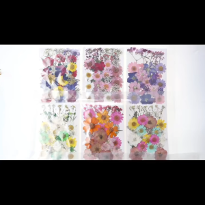 Dried Flowers Real Natural Plant Pressed Flower For Epoxy Resin Filling DIY Nail Art Handicrafts Jewelry Making Craft 16-19pcs