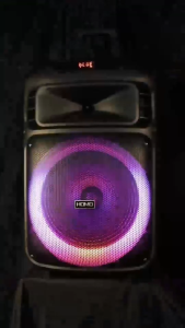 HOMO1262 Karaoke Set 12.5inches Bluetooth Speaker with Dual Wireless Microphones and LED Lights FMRadio