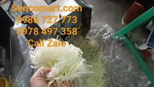 FREE SHIP MÁY BÀO SỢI CỦ SẮN CỦ ĐẬU LÀM BÁNH BAO