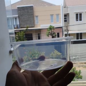 Thinwall Bowl 650 ml/ mangkok plastik / Thinwall round 650ml + tutup / bawah datar / bowl tempat makan plastik bening KLIR - ANTI BOCOR - ANTI PECAH isi 25pcs / bowl plastik bawah datar / bowl anti jamur