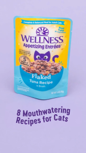 Wellness® Appetizing Entrées - Complete and Balanced Adult Wet Cat Food Meal 1.4oz (40g) | 8 Recipes