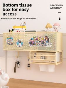 Organizing Storage Shelf