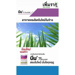 บีม 75 ดับบลิวพี ไตรไซคลาโซล ซอง 100 กรัม ป้องกัน กำจัดเชื้อราได้เด็ดขาด โรคไหม้ ไหม้คอรวง