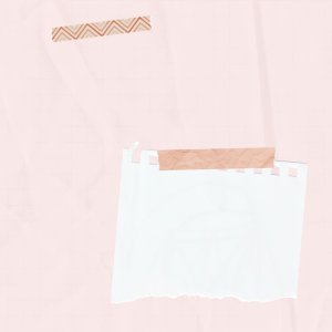 PAILIN BOOKNET หนังสือใหม่ เรื่อง FOREX EXPERT เพื่อความเชี่ยวชาญในการเทรด Forex ของคุณ