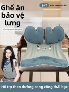 Ergonomic Waist Support Chair Seat and Backrest Integrated