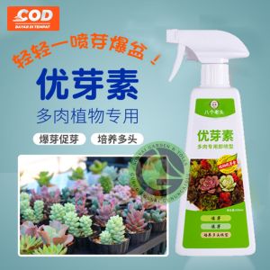 Pupuk sukulen nutrisi pemacu tunas sukulen EUBUDSU 500ML