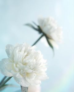 花西子 Florasis Essence-Infused Cleansing Oil