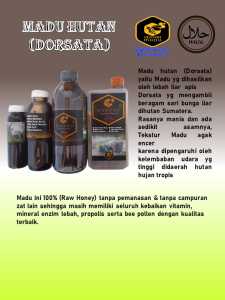 Madu Hutan (Dorsata)