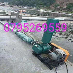 Máy nén khí oxy 65-3kw tạo khí oxy nuôi tôm cá 2 bình dầu đầu hút cao nhập khẩu