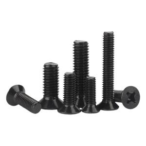 GUWANJI | Black 304 Stainless Steel Cross Recessed Flat Head Screw