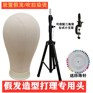 Stylist Mannequin Head Canvas