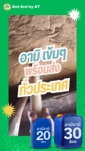 ปุ๋ยน้ำอามิ A2 (กากผงชูรสแท้) 5ลิตร ทำน้ำเขียว เลี้ยงไรแดง ปลูกพืช | บริษัท เอ ที ธุรกิจการเกษตร