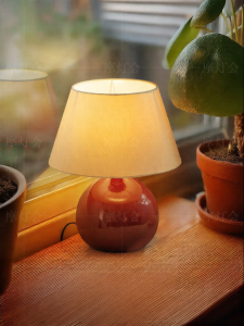 FANCY LAMP CLUB | Creative Ambient Night Light