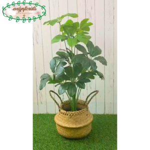 Pohon Artificial Daun Walisongo X12 Semi Latex Pot Hitam Cover Purun Belly Pajangan Rumah Hiasan Cafe Aesthetic