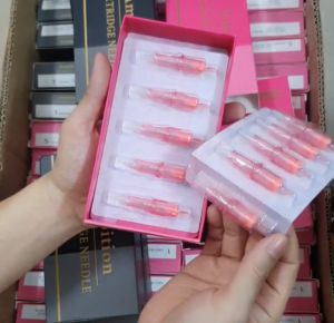 Ambition 1 Hộp Có 20 Kim Xăm Chân Mày/Môi Chất Lượng Cao Hàng Y hình shop đăng