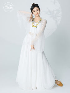 Elegant Gradual Color Change Classical Dance Costume Womens Flowing Top Practice Suit Spring Chorus Han Tang Siwei Adult Performance Outfit