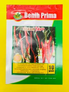 Benih Cabe Besar SEKAR TAVY isi 10gr dari PANCA PRIMA MANDIRI jos tenan!!!
