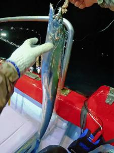 Ecooda | Single and Double Light Fishing Hooks for Sea Casting