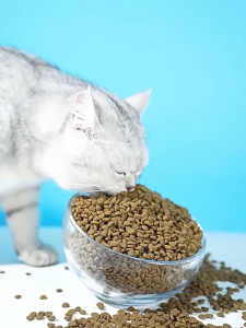 【SG seller】500g/bag Dry Cat Food  All-life-stage Cat Food Sea food Cat Food