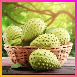 SeedsPLAZA™ - Guyabano Seeds for Planting Vegetable Plants (3 Seed) Organic Green Plants Bonsai Plant