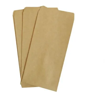 Blank Kraft Paper Money Envelope Small Size Thick