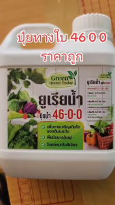 ยูเรีย ปุ๋ยยูเรียน้ำ 2แถม2 4แกลอน 4ลิตร ปุ๋ยทางใบใช้ทางดิน ดินงาม เร่งการแตกยอดใหม่ เพิ่มใบเขียว เพิ่มผลผลิตร