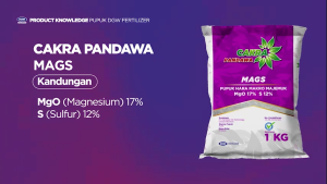 (Beli 10 Gratis Kaos) DGW - Pupuk Cakra Pandawa MAGS