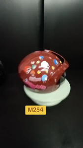 หมวกกันน็อคเด็ก แบรนด์  CXT  สีน้ำตาล รหัสสินค้า M254