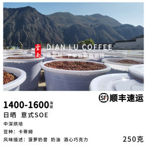 Dianlu Italian Style SOE Yunnan Small Bean Coffee Specialty Coffee Beans Arabica Hand-Poured Single Origin 250g