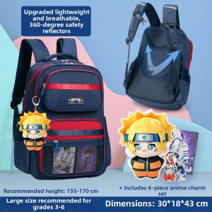WHS | Boys Primary School Students Spine Protection Backpack