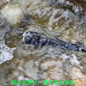 P70 Diving Flashlight Long-range Strong Light Underwater Ultra-bright Underwater Waterproof Night Diving Fill Light Charging Emergency Searchlight