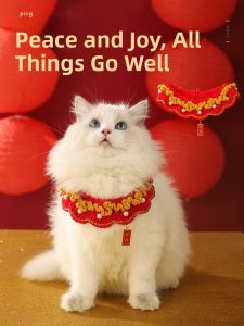HOOPET | Pet Collar Decorations New Year Accessories