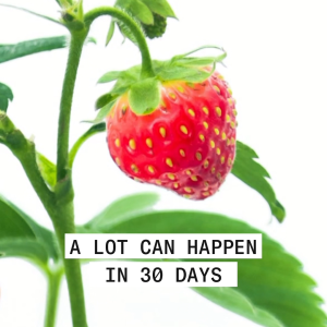 NIOXIN System 3 Shampoo สำหรับผมเริ่มบาง ผมทำสี/ดัด-ยืด/ฟอก 300ml (ไนอ๊อกซิน แชมพูลดผมขาดหลุดร่วง ปกป้องสีผม ทำความสะอาด)