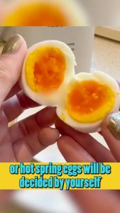 SHUONING หม้อต้มไข่อัตโนมัติ 6 ฟอง เครื่องต้มไข่อเนกประสงค์ ใช้งานได้ง่าย ขนาดเล็ก แบบพกพา Egg Cooker หม้อต้มไข่ หม้อต้มไข่ไฟฟ้า เครื่องต้มไข่ Automatic Stir Pot - Lazada