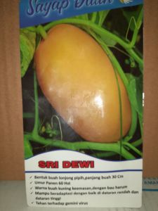 " SRI DEWI "Benih bibit Timun Suri Super Kemasan  10 gram