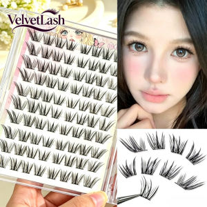 VelvetLash【Local Stock】10rows No Glue Needed Thin False Eyelashes Natural Look Eyelash Extension For Daily Wear Lightweight C Curl Fiber Lashes Makeup Tool