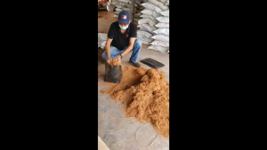 Buy 4KG Free 1KG Cocopeat – Sabut Kelapa Hancur (Coconut Peat) 100% Organic Planting Soil Mix