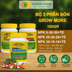 Bộ 3 Phân Bón Lá Grow More 30-10-10 6-30-30 20-20-20 GreenHome – Chuyên Dùng Cho Hoa Lan Cây Cảnh